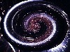 Link Vortex